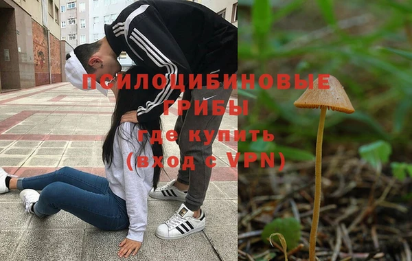 прущие грибы Нефтегорск