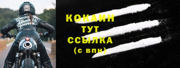 прущие грибы Нефтегорск
