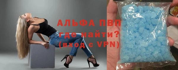 прущие грибы Нефтегорск