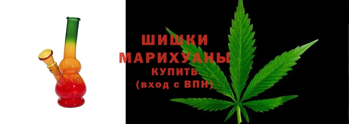 прущие грибы Нефтегорск
