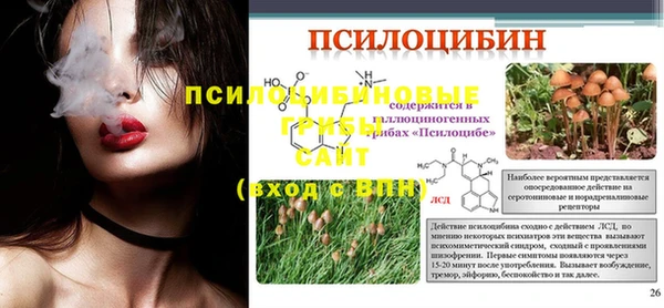 прущие грибы Нефтегорск