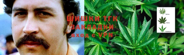 mdpv Новодвинск