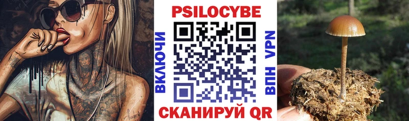 ссылка на мегу как зайти  площадка формула  Галлюциногенные грибы Cubensis  Островной 